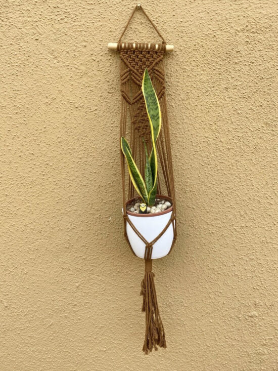 amlavati plant hanger