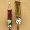 amlavati plant hanger