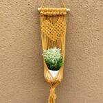 amlavati plant hanger