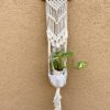 amlavati plant hanger