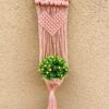 amlavati plant hanger