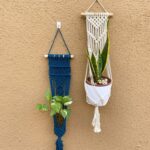 amlavati plant hanger