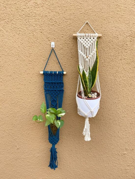 amlavati plant hanger