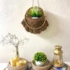 basket-macrame-plant-hanger-